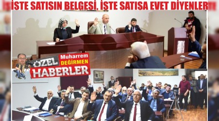 TE SATIIN BELGES, TE SATIA EVET DYENLER