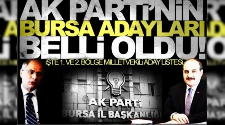 AK Partinin Bursa milletvekili adaylar belli oldu! Varank ve Efkan Ala liste ba