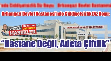 Hastane Deil, Adeta iftlik