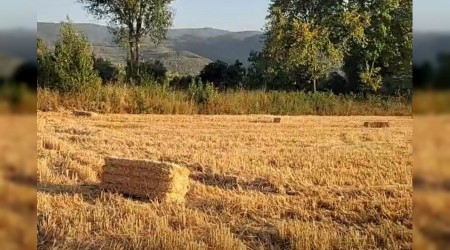 Hayaldi gerçek oldu Yaparsa Bekir Aydın yapar!!!