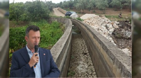 Zeytin aalarmz kuraklk ile kar karya