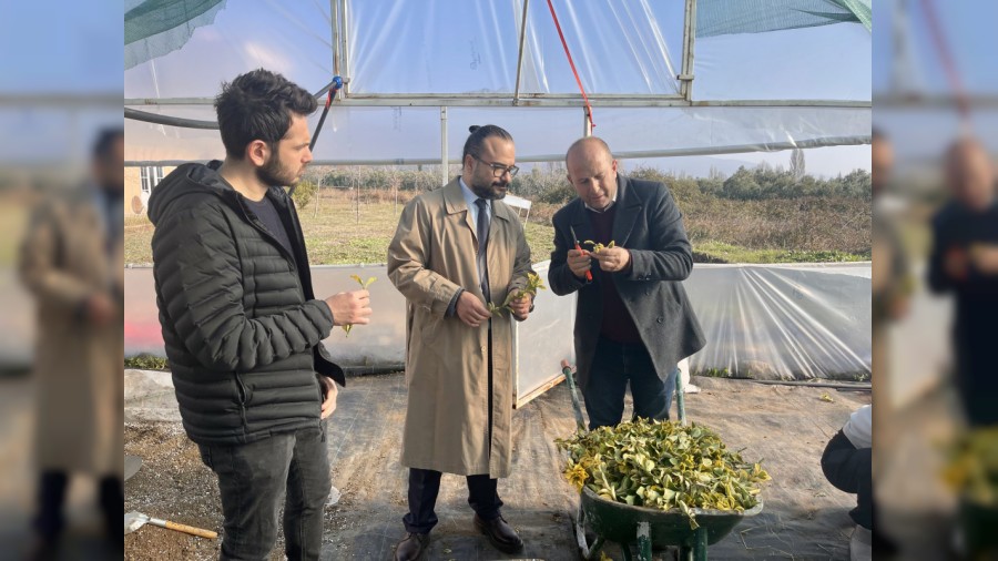 Orhangazide Gelecei ekillendiren Eitim Yeniky Asil elik Meslek Yksekokulu