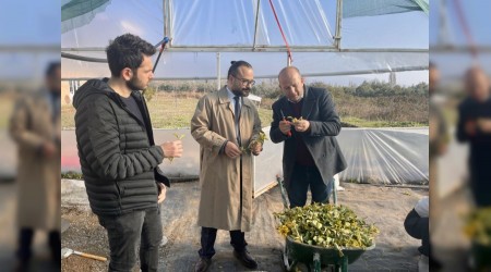 Orhangazide Gelecei ekillendiren Eitim Yeniky Asil elik Meslek Yksekokulu