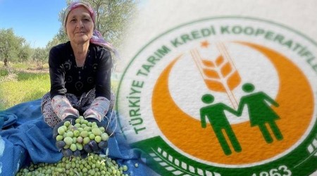 Tarm Kredi Kooperatifi zeytin reticisini yzst brakt