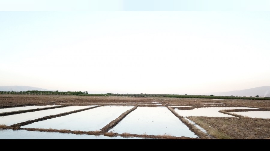 Bir zamanlar b�lgenin �eltik ambar�yd�k