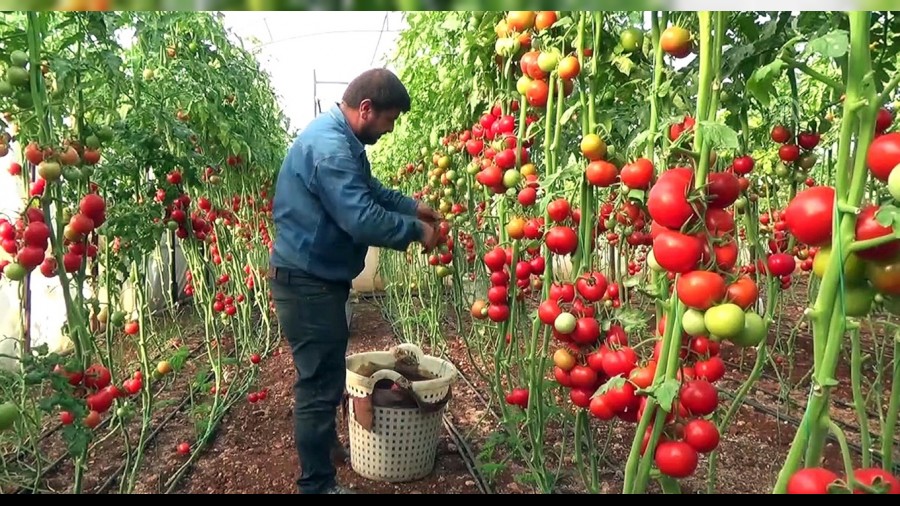 Bu kafayla gidilirse retim der, fiyatlar artar!