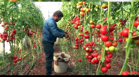 Bu kafayla gidilirse retim der, fiyatlar artar!