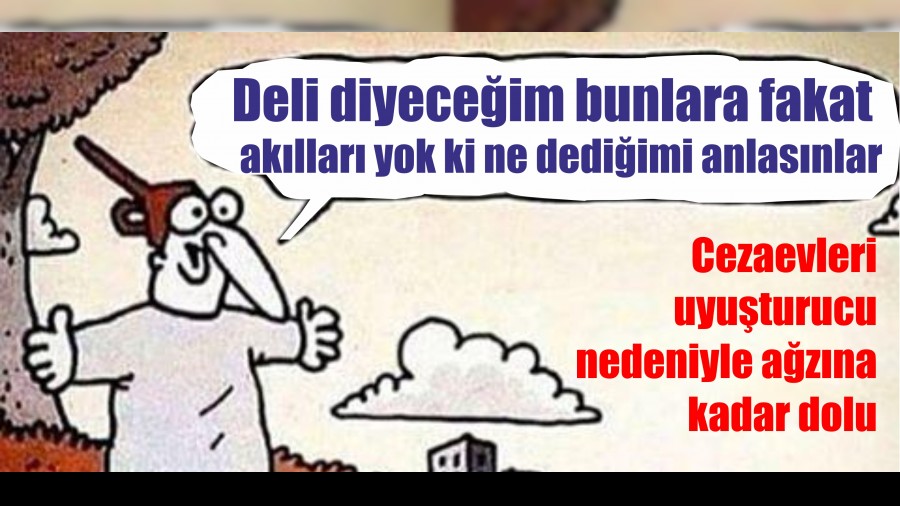 Deli diyeceim bunlara fakat akllar yok ki ne dediimi anlasnlar