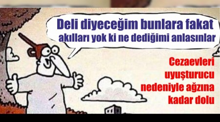 Deli diyeceim bunlara fakat akllar yok ki ne dediimi anlasnlar