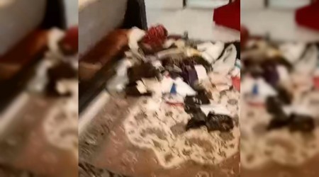 Gazeteci rfan Aydnn baba evine yaplan saldrnn ayrntlar ortaya kt