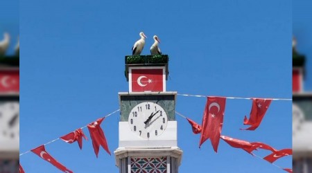 Can ve Canan Leylek Yuvalarına Geldi
