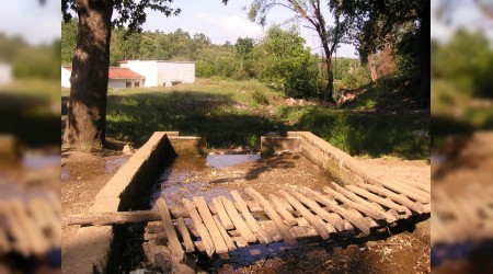 NADIR�DA SADECE TES�S M� YEN�LEN�YOR, TAR�H M� YOK ED�L�YOR?