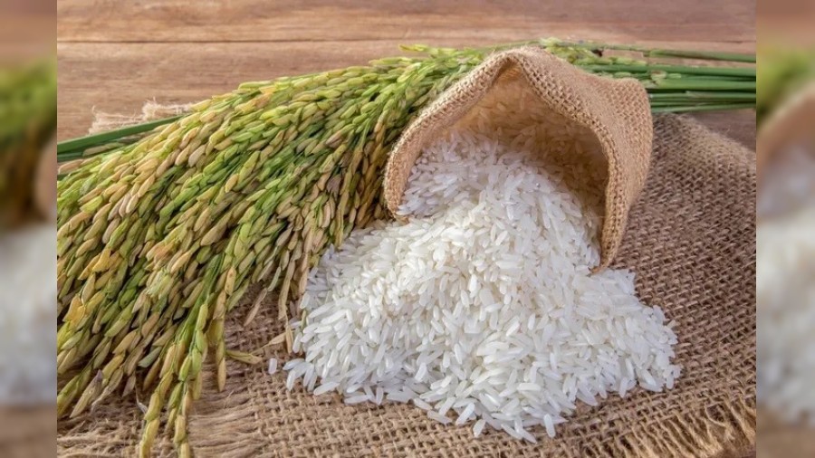 �eltik �reticilerinin sorunlar�n� ta��d�