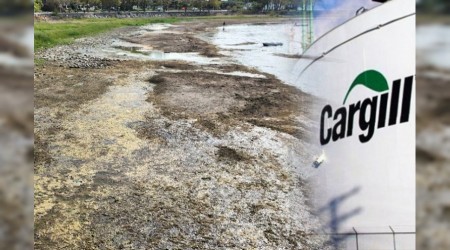 Günden güne kuruyan İznik Gölü için Cargill yine gündemde! Yılda 1 Milyon Metreküp su….